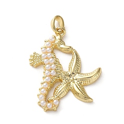 Золотой Подвески из искусственного жемчуга, морской конек и морская звезда, с латунной фурнитурой , золотые, 29x23.5x4 мм, отверстие : 4.5x3 мм