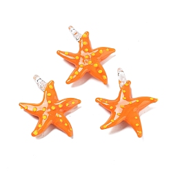 Морская звезда Объемные подвески ручной работы в технике лэмпворк, неровный, Подвески в виде лобстера/морской звезды, морская звезда, 37x32x9 мм, отверстие : 3.5 мм