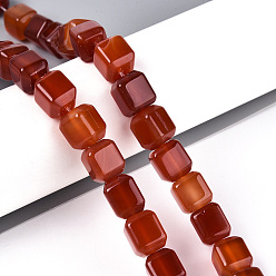Красный Агат Нити натуральных бусин из сердолика (крашенные и нагретые), кубические, 11~12.5x9.5~10.5x9.5~10.5 мм, отверстие : 0.7 мм, около 33 шт / нитка, 14.76~15.75 дюйм (37.5~40 см)