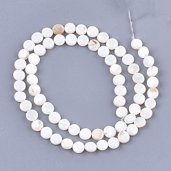 Seashell Color Freshwater Shell Beads Strands, Flat Round, Seashell Color, 6x2~3mm, Hole: 0.5mm, about 64~68pcs/strand, 14.5 inch