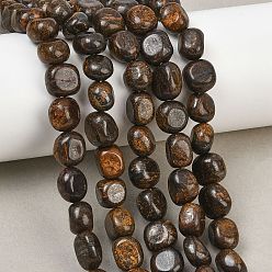 Bronzite Natural Bronzite Beads Strands, Nuggets, Tumbled Stone, 9~11x8~10x6~10mm, Hole: 0.8mm, about 18~19pcs/strand, 6.89~7.28''(17.5~18.5cm)