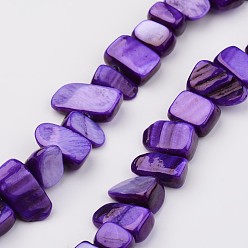 Индиго Природные оболочки нитей бисера, окрашенные, самородки, индиговые, 7~22x6~9x4~6 мм, отверстие : 1 мм, около 52 шт / нитка, 15.2 дюйм