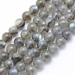 Labradorite Natural Labradorite Beads Strands, Round, 6~6.5mm, Hole: 1mm, about 63pcs/strand, 15.7 inch(40cm)