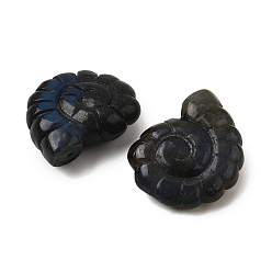 Лабрадорита Природные подвески лабрадорита, двухсторонний резной наутилус с верхним сверлением, 29x25x9.5 мм, отверстие : 1 мм