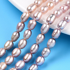 Thistle Natural Cultured Freshwater Pearl Beads Strands, Rice, Thistle, 6.5~8.5x5.5~6mm, Hole: 0.7~0.8mm, about 43~47pcs/strand, 13.58 inch(34.5cm)
