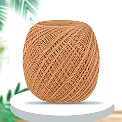 Сэнди Коричневый Полиэстер кружевная пряжа для вязания, для одежды шарфы свитера шали шапки, песчаный коричневый, 0.5~1 мм, около 164.04 ярдов (150 м) / моток