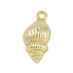 Shell Shape Подвески из сплава серии Ocean, золотые, формы раковины, 24x11.5x5.5 мм, отверстие : 2.1 мм