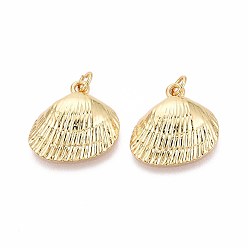 Настоящее золото 16K Латунные подвески, формы раковины, с целью перехода в кольце, реальный 16 k позолоченный, 19x19~19.5x5 мм, отверстие : 3 мм