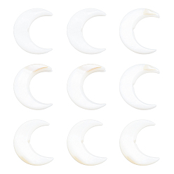 Creamy White Natural Freshwater Shell Beads, Double Horn/Crescent Moon, Creamy White, 10~11x12~12.5x2.5~3mm, Hole: 1mm, 20pcs/box