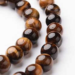 Тигровый глаз Круглый природных тигровый глаз шарик нити, класса AB, 6 мм, отверстие : 1 мм, около 63~65 шт / нитка, 15 дюйм