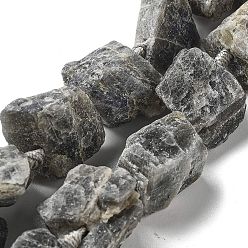 Лабрадорита Необработанные необработанные натуральные лабрадоритные бусины, самородки, 19~28x15~26x14~22 мм, отверстие : 3.7 мм, около 16 шт / нитка, 16.73'' (42.5 см)