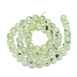 Prehnite Natural Prehnite Beads Strands, Round, 8~9mm, Hole: 1mm, about 45~48pcs/strand, 15.7 inch