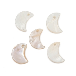 Кремово-белый Луна пресноводных оболочки прелести, кремово-белые, 13x8x1 мм, отверстие : 1 мм