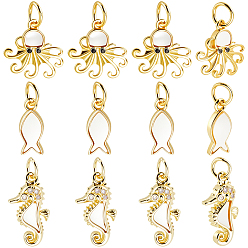Mixed Shapes 12piezas 3estilos colgantes de latón con micro pavé de circonitas cúbicas, con cáscara natural, sin plomo y el cadmio, chapado en rack, larga duración plateado, real 18 k chapado en oro, formas mixtas, 12~17.5x5~12x1.8~4 mm, anillo de salto: 5x0.7 mm, diámetro interior: 3.5 mm, 4 piezas / estilos