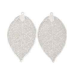 Платина Большие сплавочные подвески, амулеты из полых листьев, платина, 60x33x0.5 мм, отверстие : 2.5 мм