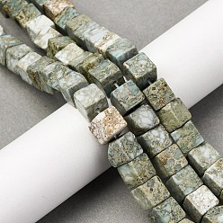 Варисцит Натуральные варицитовые бусины, кубические, 8~8.5x8~8.5x8~8.5 мм, отверстие : 1.2 мм, около 46 шт / нитка, 15.35'' (39 см)