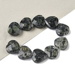 Яшма Камбаба Натуральные пряди камбабы из яшмы, граненые, сердце, 14.5~15x15~15.5x5.5~6 мм, отверстие : 1 мм, около 10 шт / нитка, 5.51~5.71'' (14~14.5 см)