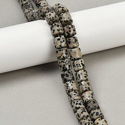 Далматинских Джаспер Природные яшмы далматин бисер нитей, колонка, 9~10x10 мм, отверстие : 1 мм, около 40 шт / нитка, 15.55 дюйм (39.5 см)
