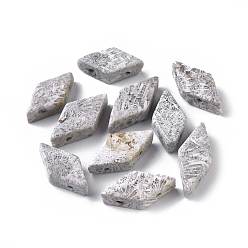 Fossil Coral Natural Fossil Coral Multi-Strand Links, Rhombus, 17.5~22x9.5~11.5x5.5~6.5mm, Hole: 1~1.5mm