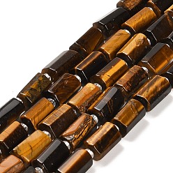 Тигровый глаз Природных тигровый глаз бисер нитей, с бисером, граненые колонки, 9~11x6~7.5x6~7.5 мм, отверстие : 1.2 мм, около 30 шт / нитка, 15.16~15.55 дюйм (38.5~39.5 см)