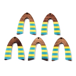 Arch Подвески из эпоксидной смолы и орехового дерева, геометрические прелести, арка, 37x29x3.5 мм, отверстие : 2 мм