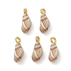 Золотой Акриловые прелести, латунные петли, раковина, золотые, 14x6x5 мм, отверстие : 2 мм