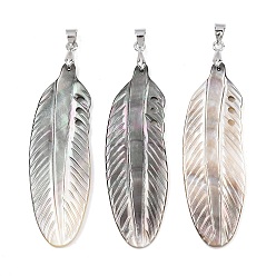 черная губная раковина Подвески из натуральной черной ракушки-губы, подвески из перьев с латунными дужками, платина, стойки покрытие, 50x16.5x2.5~3.5 мм, отверстие : 4.5x4 мм