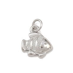 Платина Латунные подвески, рыбы прелести, долговечный, без свинца и без кадмия, стойки покрытие, с целью перехода в кольце, платина, 12.5x12x4 мм, отверстие : 3.3 мм