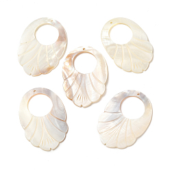 Пресноводная Раковина Естественных пресноводных оболочки большие кулоны, лист прелести, 66~67x45~46.5x3~4 мм, отверстие : 2.5 мм