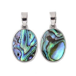 Раковина Подвески из натуральной ракушки пауа, овальные латунные подвески, долговечный, платина, 22.5~23x15x2.5 мм, отверстие : 3.5x7 мм