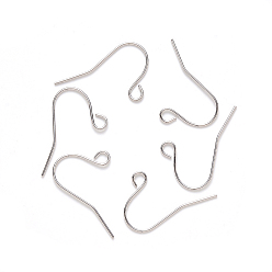 Stainless Steel Color 304 Stainless Steel Earring Hooks, Ear Wire, with Horizontal Loop, Stainless Steel Color, 13x22mm, Hole: 2mm, 21 Gauge, Pin: 0.7mm