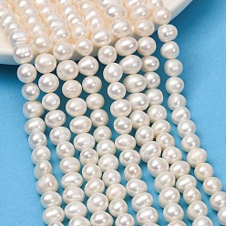 Old Lace Natural Cultured Freshwater Pearl Beads Strands, Potato, Grade 4A, Old Lace, 7~8mm, Hole: 0.5mm, about 50~59pcs/strand, 13.58''(34.5cm)