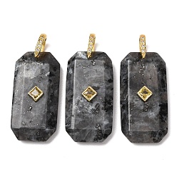 Labradorite Natural Labradorite Pendants, Rectangle, Golden, 39x19~19.5x7~7.5mm, Hole: 6.5x6.5mm