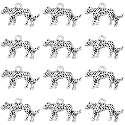 Античное Серебро 60 шт. Подвески из сплава в тибетском стиле, леопардовые прелести, античное серебро, 14x24x4 мм, отверстие : 2 мм