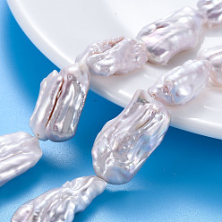 Лавандовый румянец Природные Кеши жемчуг пряди, культивированный пресноводный жемчуг, самородки, лавандовый румянец, 20~34x12~18x6~12 мм, отверстие : 0.6 мм, около 13~14 шт / нитка, 14.96~15.35 дюйм (38~39 см)