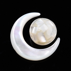 White Shell Natural White Shell Beads Set, Moon with Round, Moon: 15x12.5x3.5mm, Round: 8mm, Hole: 0.8mm, about 2pcs/set