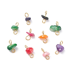 Light Gold Natural Chip Dyed Shell Connector Charms, with Brass Loops, Nuggets, Mixed Colors, Light Gold, 10.5~11.5x5.5~10.5x5.5~7mm, Hole: 2.5~3.5mm