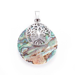Paua Shell Abalone Shell/Paua Shell Pendants, with Platinum Tone Brass Findings, Flat Round with Tree of Life, 33.5x28~28.5x6.5mm, Hole: 5x7mm