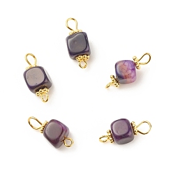 Фиолетовый Подвески из натурального агата, с золотой гальванической железной фурнитурой, кубические, фиолетовые, 17~18x7~7.5x6.5~7 мм, отверстие : 2~3.5 мм