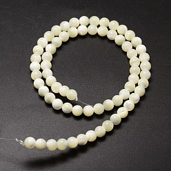Creamy White Natural Sea Shell Beads Strands, Round, Creamy White, 6mm, Hole: 1mm, about 68pcs/strand, 15.75 inch