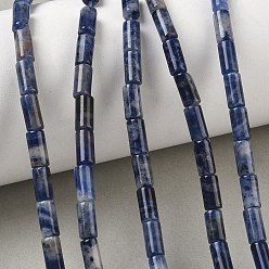 Sodalite Natural Sodalite Beads Strands, Column, 8x4mm, Hole: 1mm, about 49pcs/strand, 15.35''(39cm)