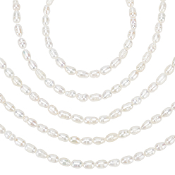 Seashell Color 5 Strands Natural Cultured Freshwater Pearl Beads Strands, Rice, Seashell Color, 6~7x5~5.5mm, Hole: 0.5mm, about 26pcs/strand, 7.34 inch