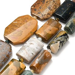 Океанический Джаспер Натуральный океанский агат, разнообразные, с бисером, 23~35x11~25x4~11 мм, отверстие : 0.8~1 мм, около 11~15 шт / нитка, 15.79''~16.57'' (40.1~42.1 см)