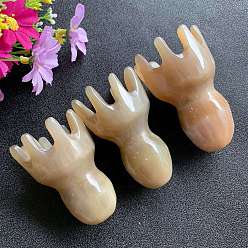 пшеница Массажные гребни из смолы, гребни осьминога, массажные инструменты, цвет пшеницы, 60~80 мм