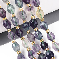 Флюорит Природных красочные флюорита бисер нитей, граненые, овальные, с бисером, 8~9x6~8 мм, отверстие : 1~1.2 мм, около 36~38 шт / нитка, 14.96~15.35 дюйм (38~39 см)