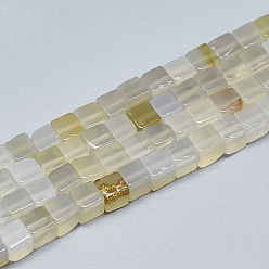 Натуральный Агат Натуральный белый агат бисер нитей, кубические, 6~6.5x6~6.5x6~6.5 мм, отверстие : 1 мм, около 65 шт / нитка, 16.1 дюйм