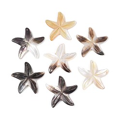 Дригие Морские Ракушки Подвески натурального морских раковин, прелести морская звезда, 34.5~37.5x37~38.5x2 мм, отверстие : 1.2 мм