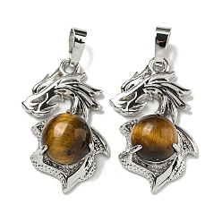 Тигровый глаз Природных тигровый глаз подвески, Подвески-драконы со стойкой, латунная фурнитура, платина, без кадмия и без свинца, 31x18x8~10 мм, отверстие : 5x8 мм