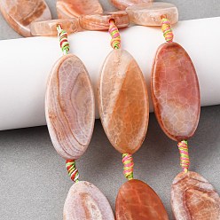 (224) Цвет бронзы Олимп внутри цвета Природные пожары треск агат бисер нитей, окрашенная и подогревом, лошадиный глаз , 44~48x22~23x7~8.5 мм, отверстие : 2 мм, около 7 шт / нитка, 15.98~16.38'' (40.6~41.6 см)