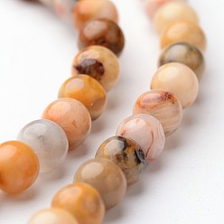 Сумасшедший Агат Круглые натуральные сумасшедшие кружевные агатовые бусины, 4 мм, отверстие : 1 мм, около 93 шт / нитка, 15 дюйм